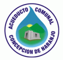 Concepción de Naranjo CWD Logo